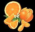 fruit (23)